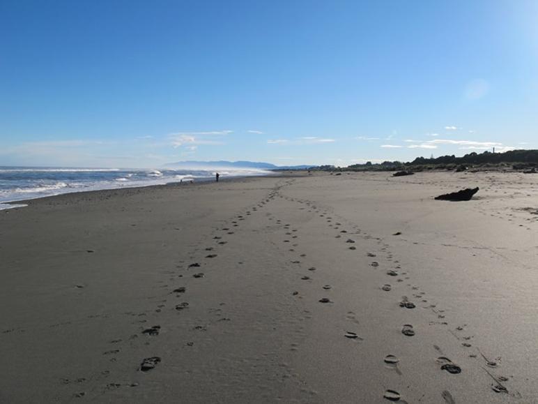 Shining Star Beachfront Accommodation Hokitika Exterior photo